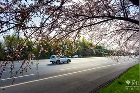 首善咸安 美丽公路｜30余年提档升级不停步，咸安聚全区之力共筑“幸福路”图片