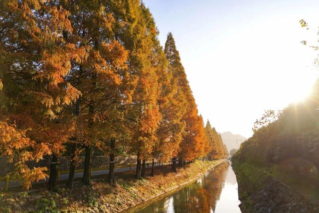 余杭初冬藏不住！这些秘境绝美~