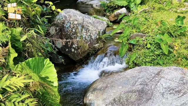 藏不住了！玉林这里又发现一处清凉秘境