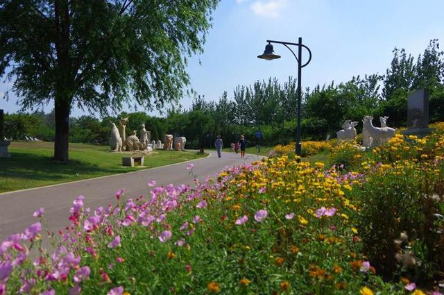 在平阴，有一种幸福是“家在公园里”