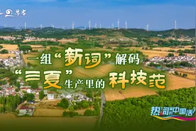 一组“新词”解码“三夏”生产的科技范丨热词里的中国活力图片