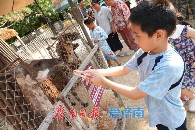 济南动物园暑期人气旺，亲子游成主流