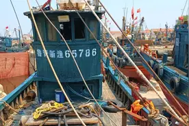 依港管船开新篇 渔港码头换新颜图片