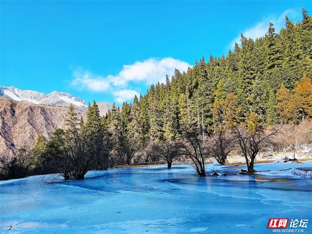 一半冰雪，一半碧波，冬日黄龙的色彩魔术