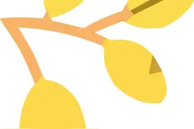科学选用儿童牙膏 呵护儿童牙齿健康——中消协25款儿童牙膏比较试验结果图片