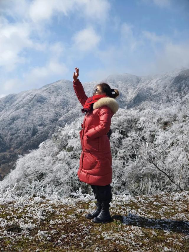 有执念！柳州这个森林公园变身“冰雪王国”，紧急封路也要走上去！