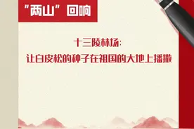 “两山”回响 | 十三陵林场：让白皮松的种子在祖国的大地上播撒图片