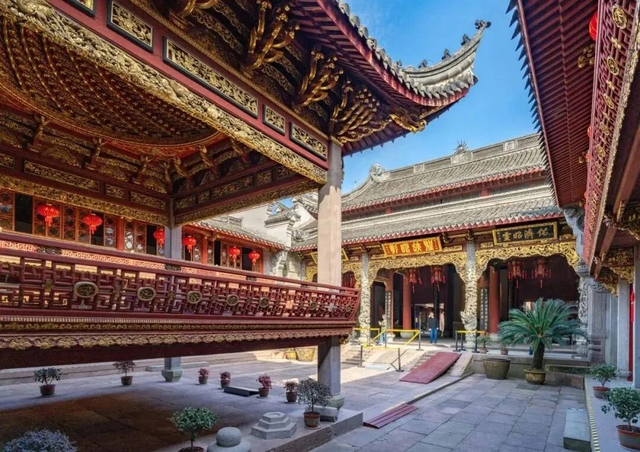 早安，长宁丨黄金城道“杏”定美景来啦～