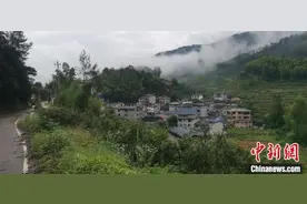 探秘武夷岩茶山场：吴三地老枞水仙何以从“隐于山”到“现于市”？图片