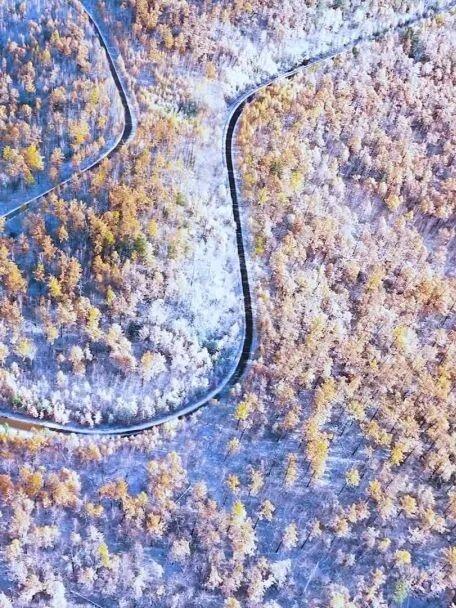 呼伦贝尔醉美初冬