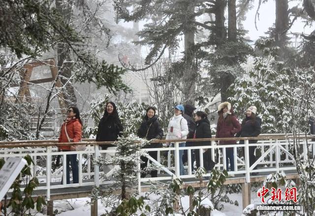 海外华媒领略四川海螺沟初冬之美