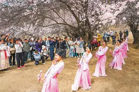 西藏有力有效推进乡村全面振兴 和美乡村为幸福“加码”图片