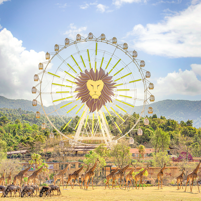 暖冬乐游来清远！七大惠民措施将在11月7日发布