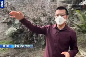 “一路都烧成灰烬了”，央视记者实地探访洛杉矶图片