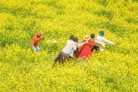 收藏！江夏区推出5条赏花春游线路图片