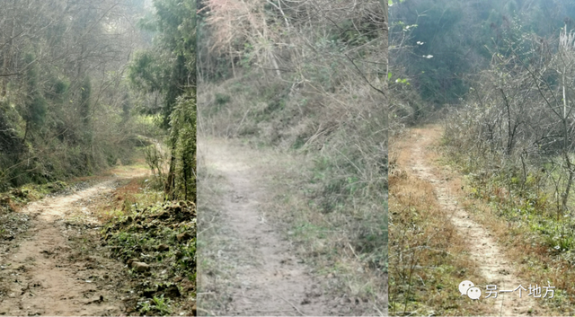 阆中：蜀道上的水陆咽喉，城市遗存的活化石