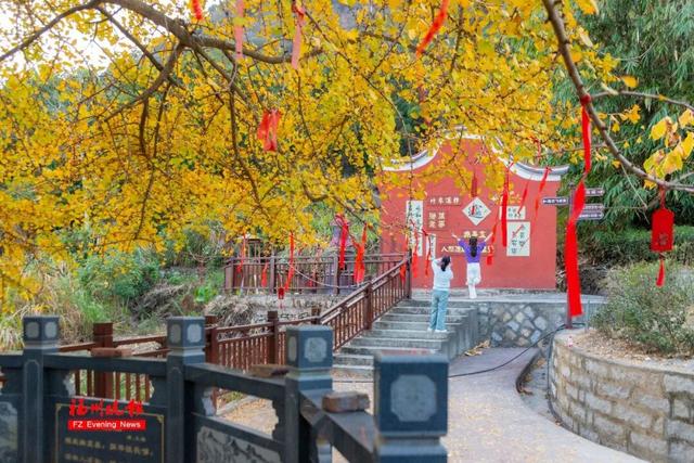 黄了！红了！福州大面积上新！颜值高峰！