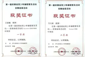 庐江县城北小学幸福校区学子在第一届安徽省编程普及赛中喜获佳绩图片
