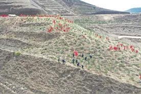 长庆油田采油十一厂：以绿为底“碳”寻转型发展新路径图片