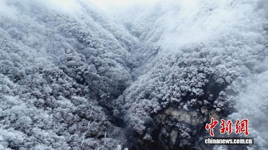 秦岭迎初雪 银装素裹美不胜收