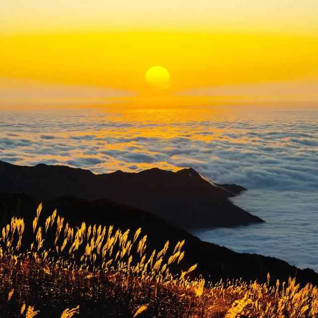 告别秋天的仪式感丨吉安武功山免票啦！周末带着孩子来体验武功山秋日的魅力吧！