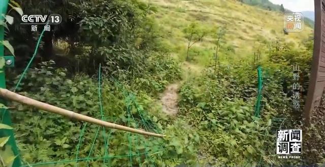 户外探险事故频发 如何规范管理“越界”行为？