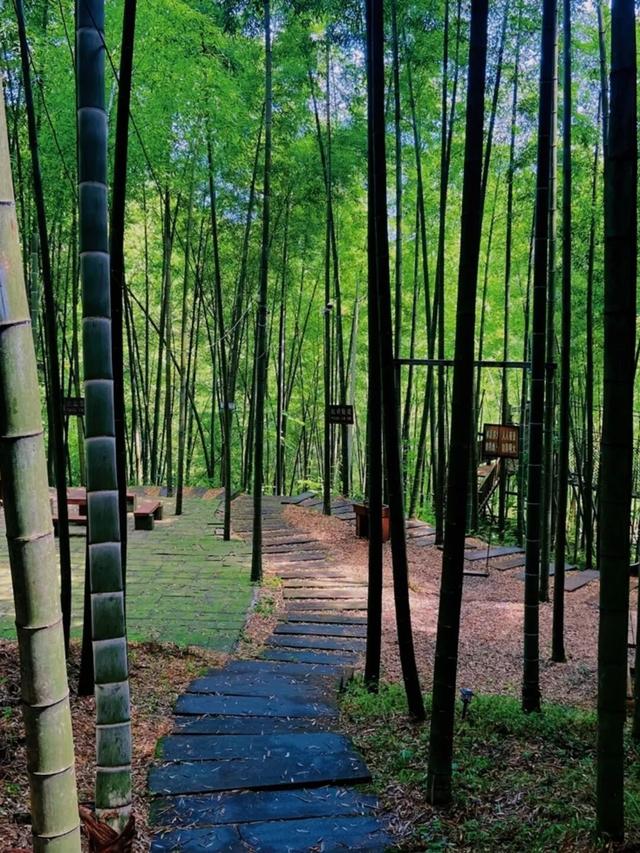 国庆中秋跟着谭晶游叙永——画稿溪