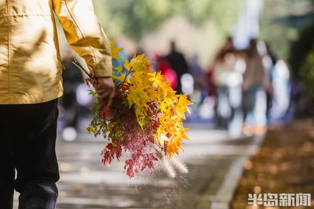 青岛故事｜五彩斑斓的秋日青岛，你怎能不爱？