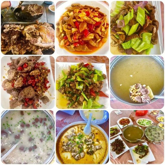 在美丽南方，赴一场诗意画卷~