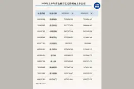 湖南145家A股公司的上半年：11家公司半年营收破百亿元 飞鹿股份等利润下滑超1000%图片