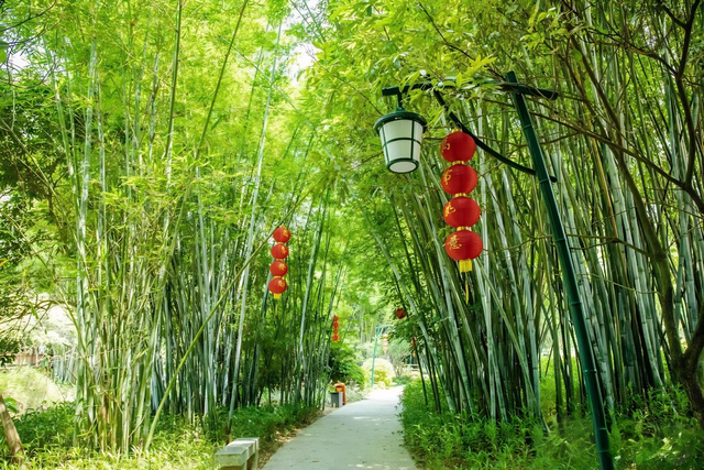 免费报名 | 〖跟着茂马游茂名〗福利专车即将发车！限时抢位→