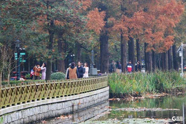 街角的光影、海边的风、林间的静谧……Mark秋日限定诗意