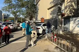 在北京“逛街”的俩“猴哥”哪来的？图片