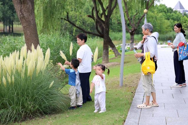 场面｜立秋非入秋，酷暑依旧，太阳落山公园绿地迎来消暑的人群