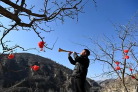 新春走基层丨唢呐新声吹绿连绵的黄土高坡图片
