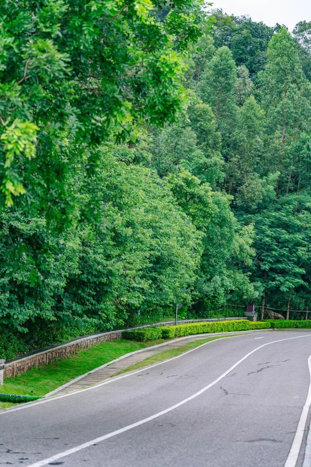 免门票！里水登高首选！3条赏秋路线→