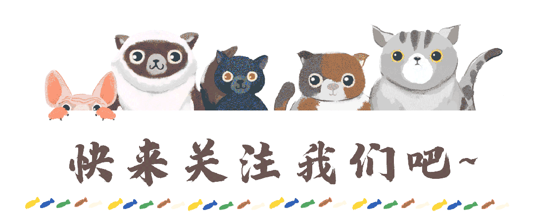 亲测！西安值得反复打卡的3条线路！