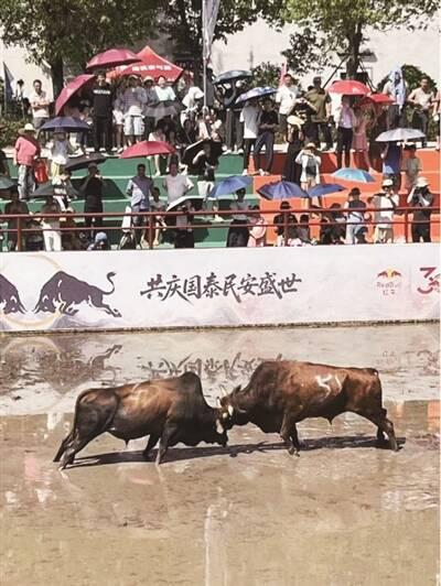 金彩聚焦|国庆中秋八天乐 村镇旅游唱主角