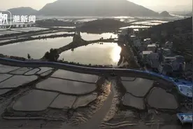 自带“干饭神器”的水鸟见过吗？仅乐清湾白沙岛就记录到800多只图片