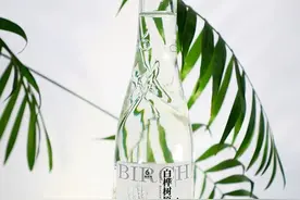 能治感冒痛经？白桦树汁引发“种草”热潮，营养师：国内尚无基础研究，宣传医疗功效不可信图片