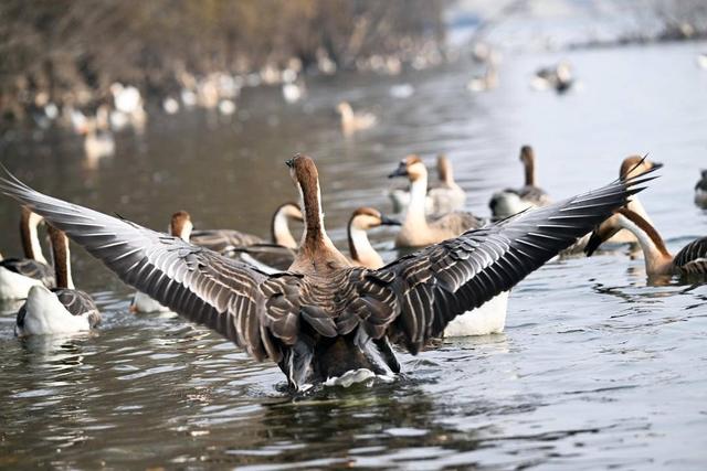 冬日里的童话世界！沈阳宝藏打卡地，攻略来了→
