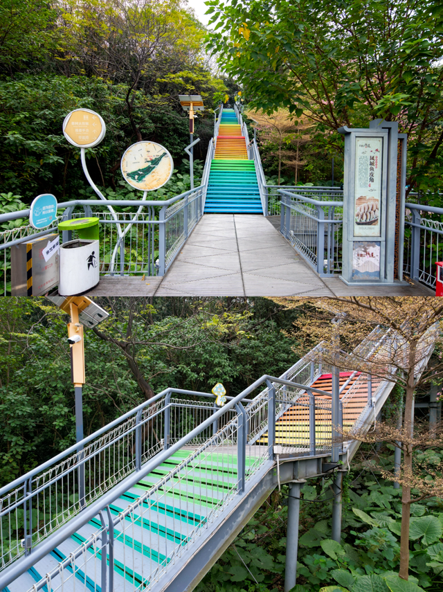 重阳登高好去处，顺德这些打卡点让你尽揽秋色！