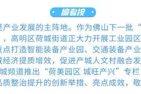 加快建设绿美园区，高明荷城一批民生工程有新进展图片