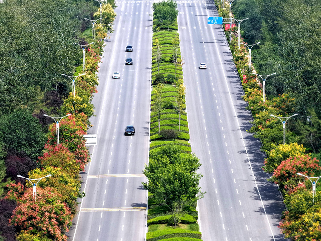 滨州市主城区多条道路秋景 “出圈”！栾树绽放限定浪漫