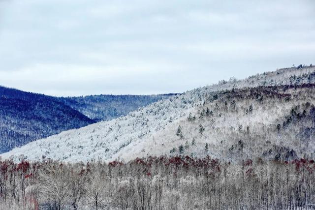 冰雪呼中，是我带不走的眷恋
