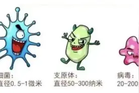 支原体肺炎高发季！年龄越小越容易混合感染？家有萌娃如何预防→图片