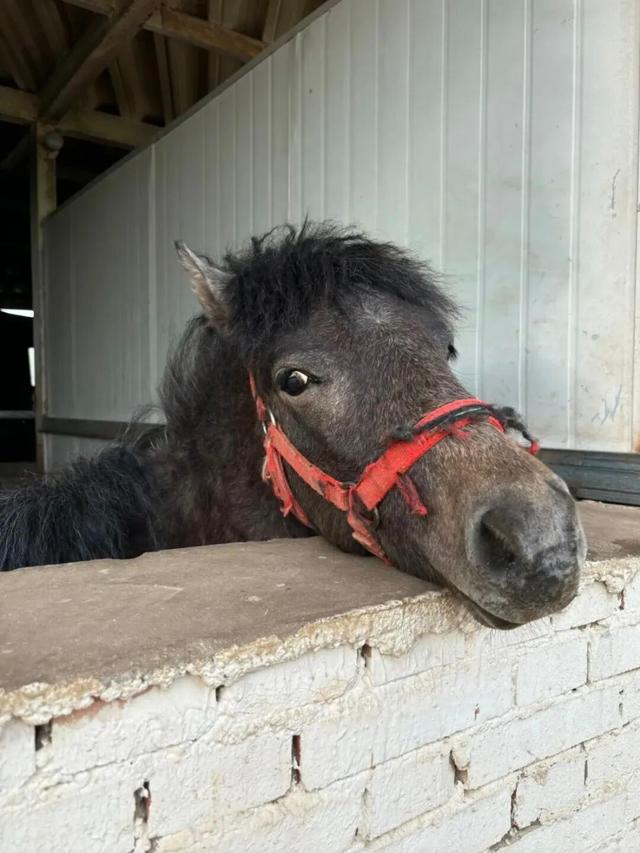 西安出发1h！这4个宝藏农场！