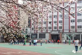 老师公开场所杀猫，向学生传递怎样的生命理念？| 新京报快评图片