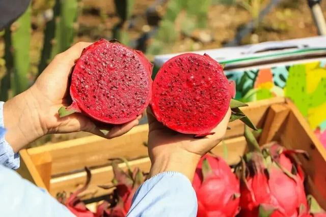 上榜全国暖冬城市TOP3！南宁，被低估的过冬宝藏地！不止温暖，更有看不完的风景和吃不完的美食