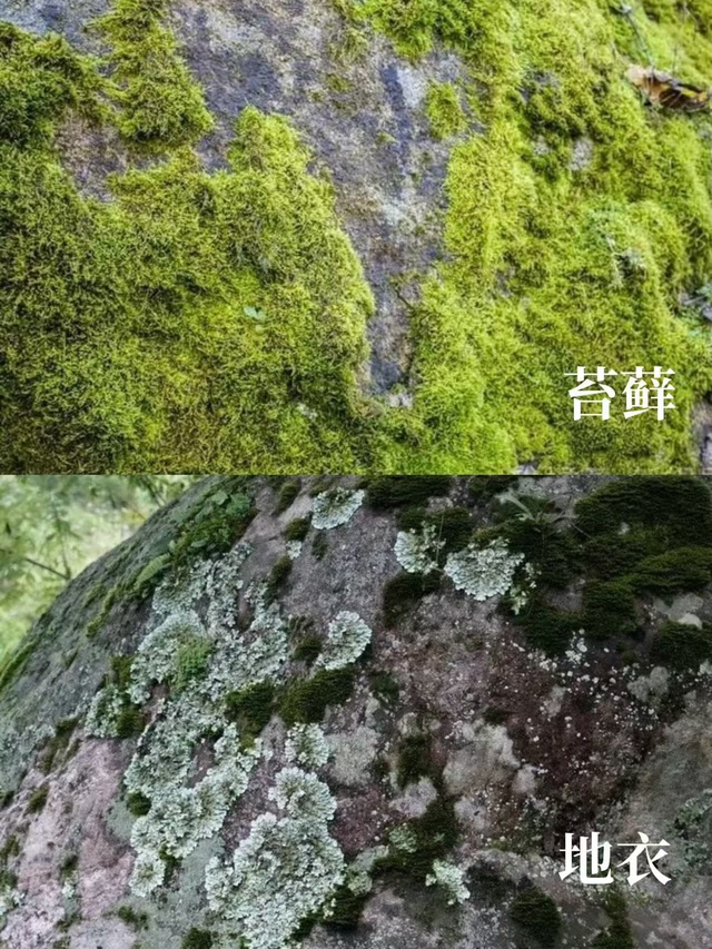 这个专业全国曾只有他一根独苗，如今……